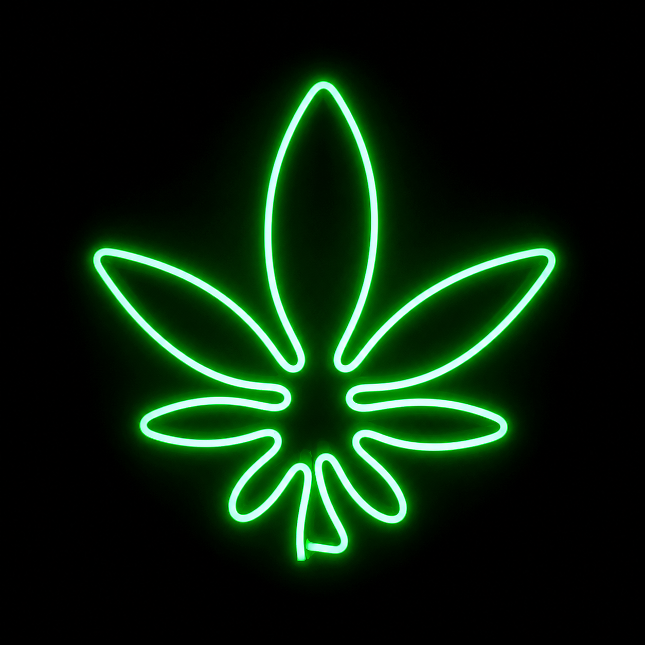  Cartel LED Neon “CHALA” - Iluminación Decorativa